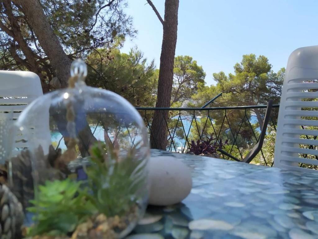 House Vlasta Primošten المظهر الخارجي الصورة